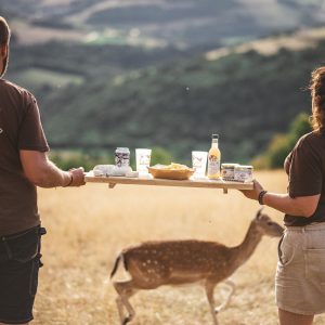 Apéro Daims