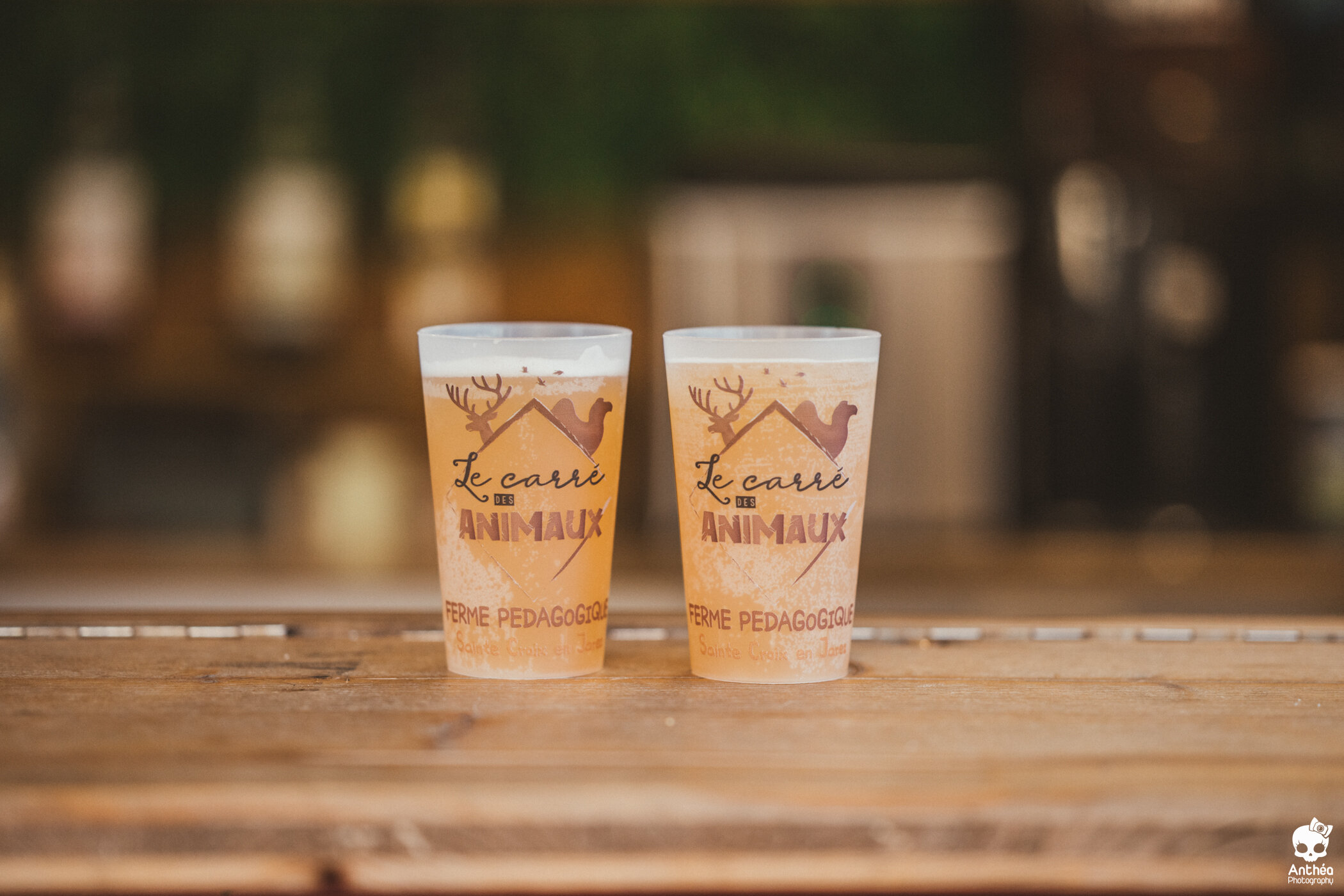 CarrdesAnimaux-WEB72DPILOGO-235