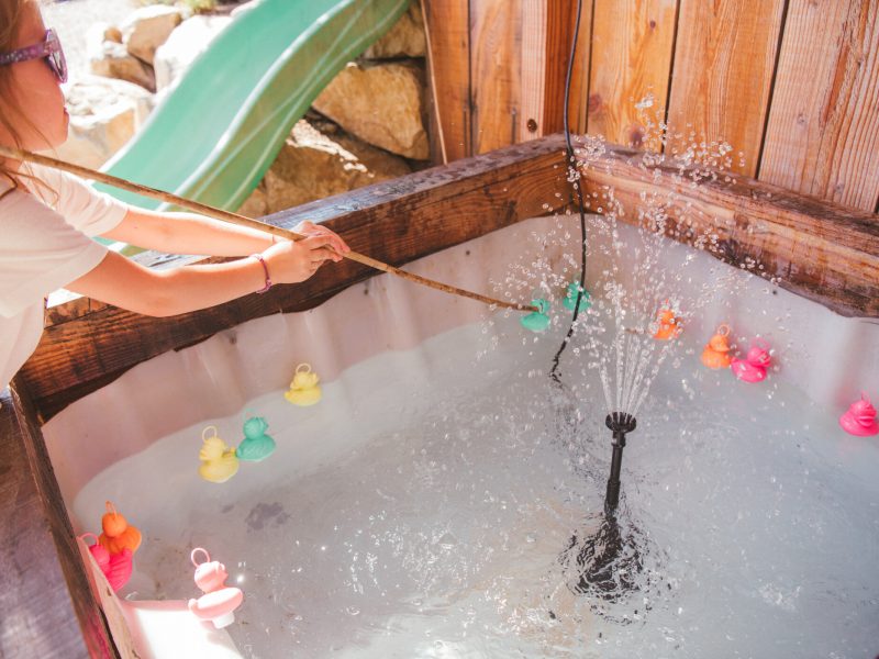 CarrdesAnimaux-WEB72DPILOGO-18