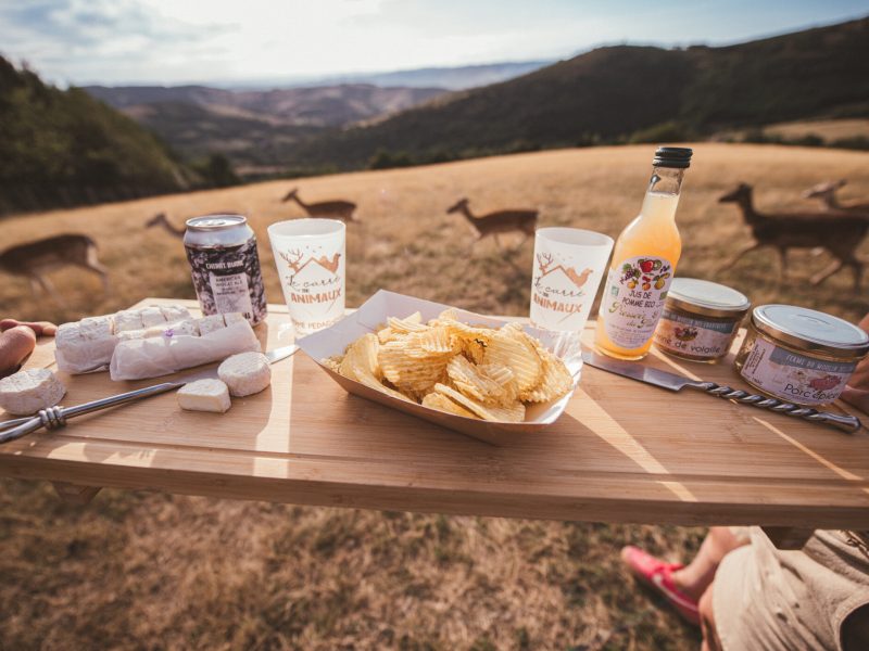 CarrdesAnimaux-WEB72DPILOGO-196